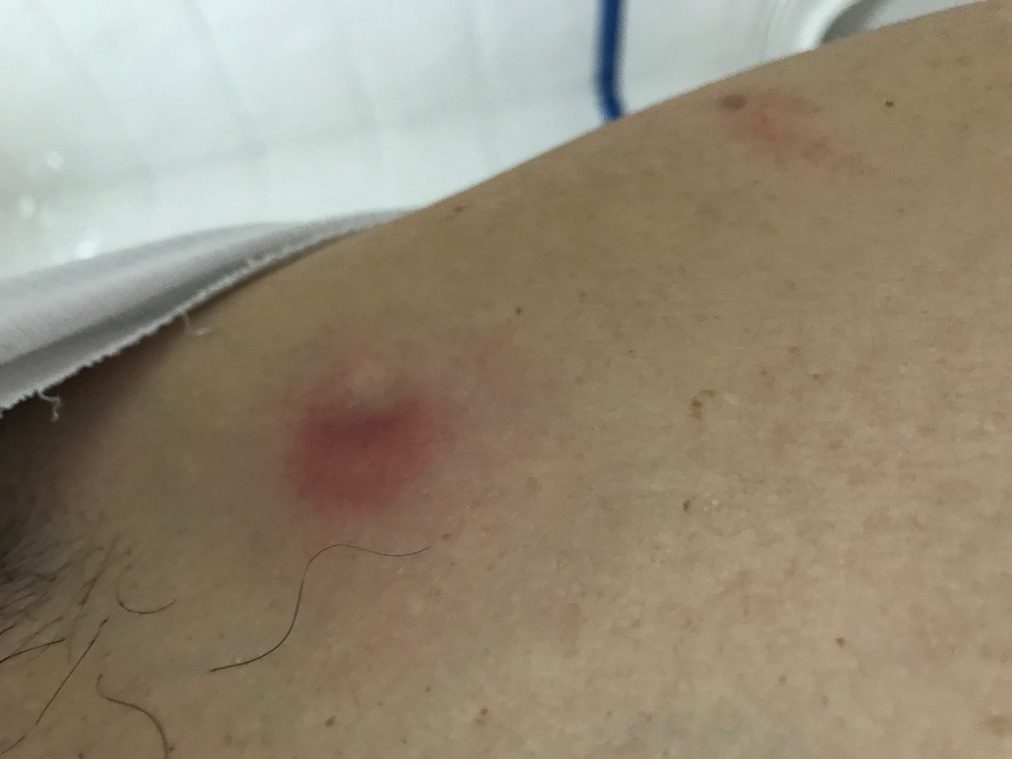 Image XXX404XXXSesimbra, Portugal  7