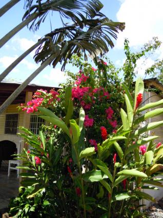 Image Sale farm 7 km de el seibo(est)  0