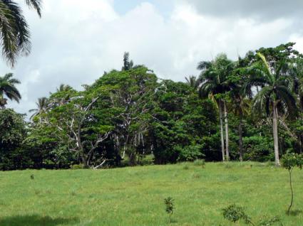 Image Sale land payita  0