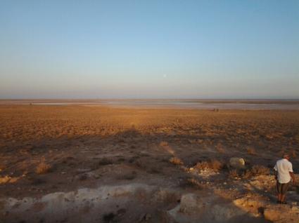 Image Sale land skhira  0