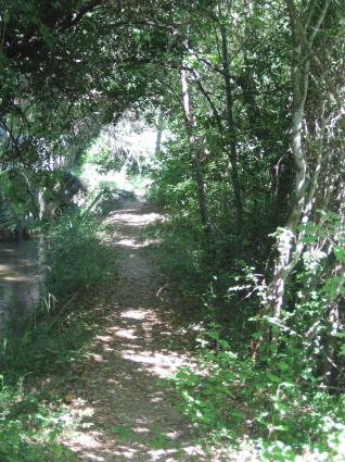 Image Sale land le thoronet toulon 0