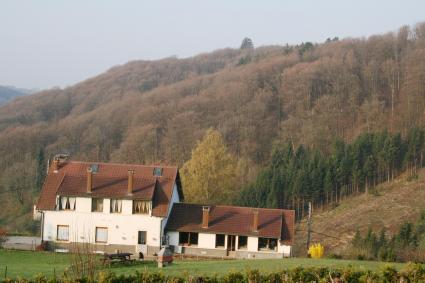 Image Sale building plombières les bains  0