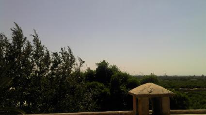 Image Sale farm agadir  0