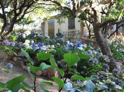 Image Sale villa bonifacio  0