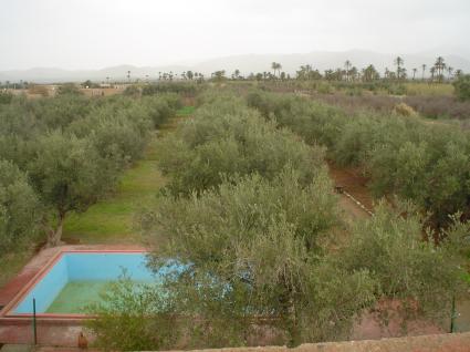 Image Sale farm ghrabli marrakech 0