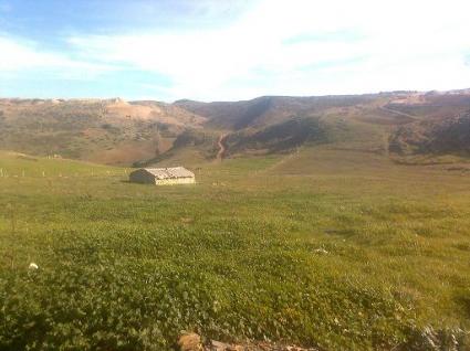 Image Sale farm azrou ifrane 0