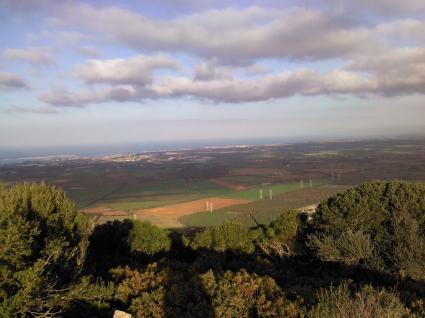 Image Sale land campanedda sassari 0