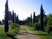 Image Rent house lucignano arezzo 0