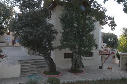 Image Sale villa n fès 0