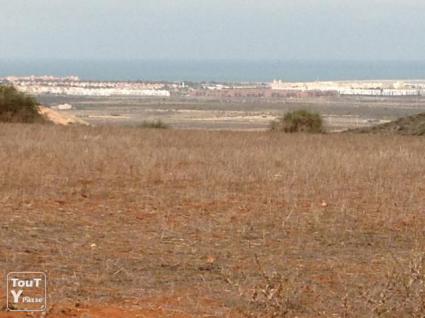 Image Sale land saida berkane 0