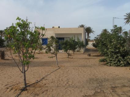 Image Rent villa djerba midoun tezdaîne medenine 0