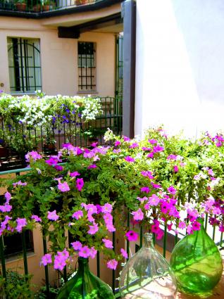 Image Sale apartment centro bologna 0