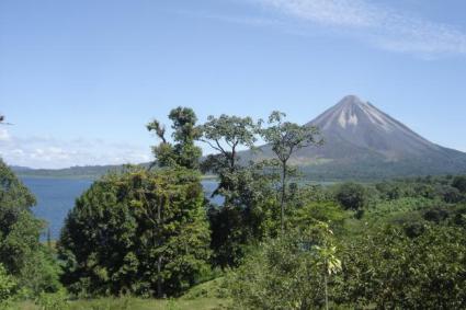 Image Sale land el castillo  0