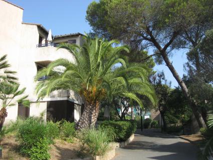 Image Sale apartment saint raphael  0
