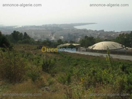 Image Sale land cherchell w.tipaza  0