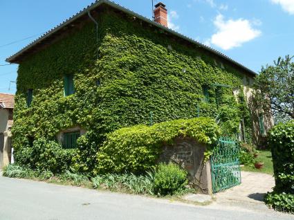 Image Rent house julienas lyon 0