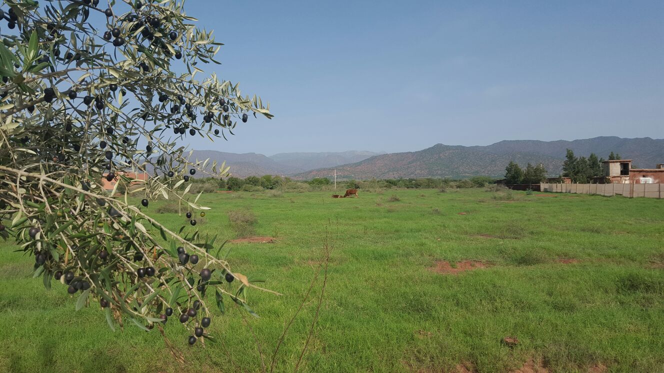 Image Sale villa souiria laqdima safi 0