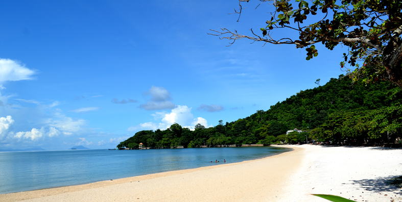 Image Sale apartment grasse  0