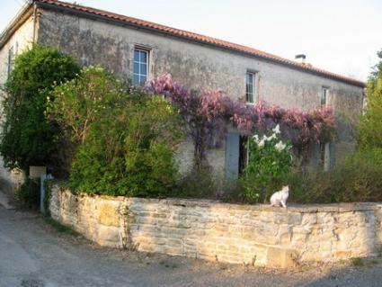 Image Sale house saint christophe la rochelle 0