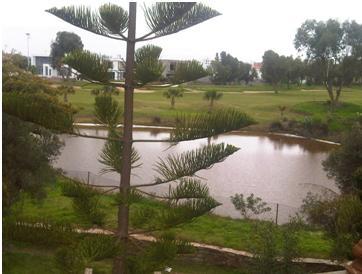 Image Sale villa bouznika  0