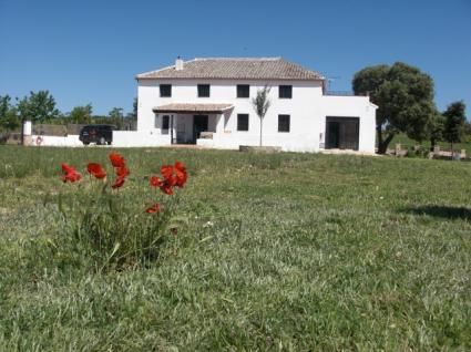 Image Sale prestigious real estate pedro martinez grenade 0