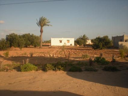 Image Sale villa djerba  0
