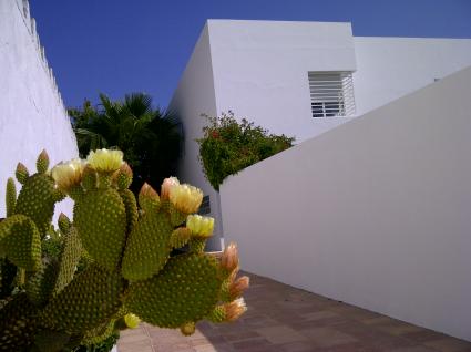 Image Sale villa gammarth la marsa 0