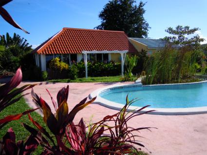 Image Sale farm 7 km de el seibo(est)  1