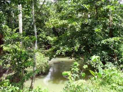 Image Sale land payita  1