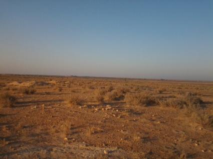 Image Sale land skhira  1