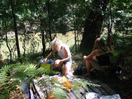 Image Sale land le thoronet toulon 1