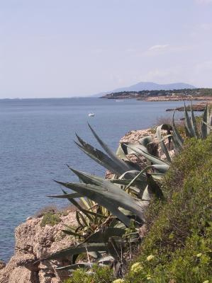 Image Rent house ametlla de mar tarragone 1