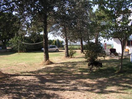 Image Sale house forlimpopoli forli-cesena 1