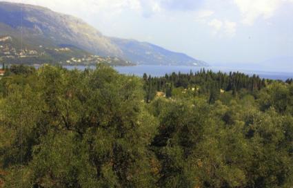 Image Sale land kato korakiana kerkyra 1