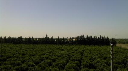 Image Sale farm agadir  1