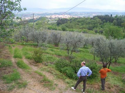 Image Sale house monte san savino arezzo 0