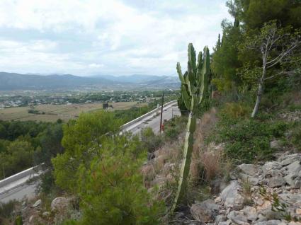 Image Sale land javea  1
