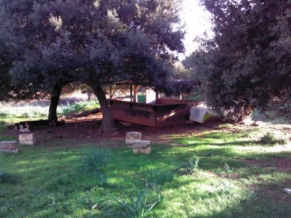 Image Sale land campanedda sassari 1