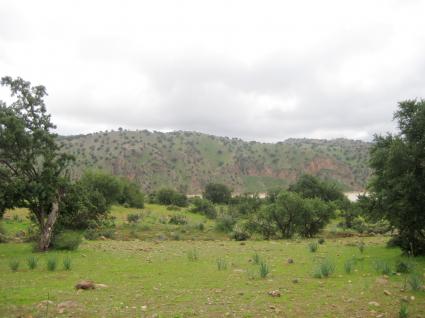 Image Sale land aoulouze taroudant 1