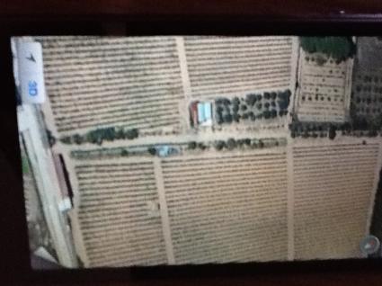 Image Sale land bassacutena comune di luogo santo  1