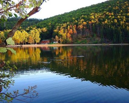 Image Sale house murol clermont ferrand 1