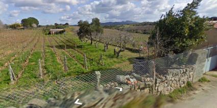 Image Sale land bassacutena  1