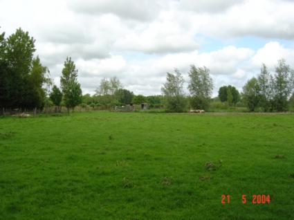 Image Sale house guines 62340  0