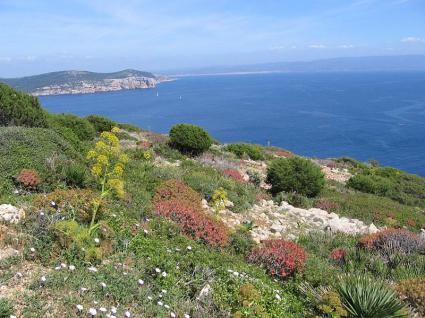 Image Sale house villanova monteleone sassari 1