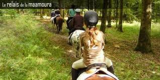 Image Sale new program sidi allal bahraoui rabat 1