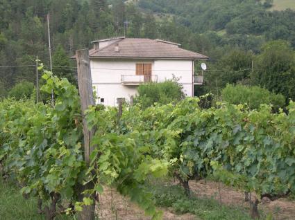 Image Sale villa roccafluvione ascoli-piceno 1