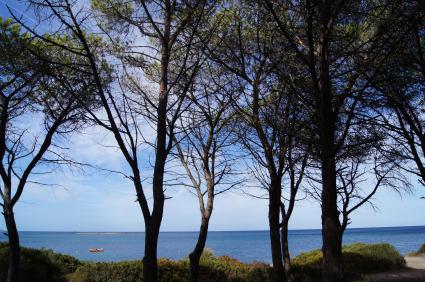 Image Rent apartment budoni, agrustos nuoro 1