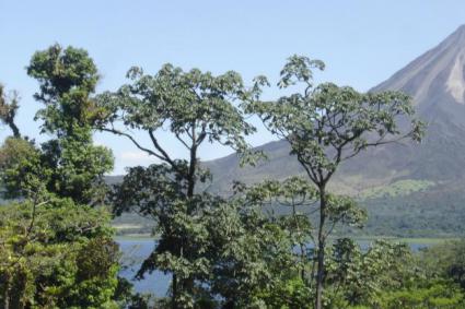 Image Sale land el castillo  1