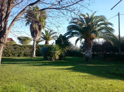 Image Sale house loggos-agios konstandinos lamia 1