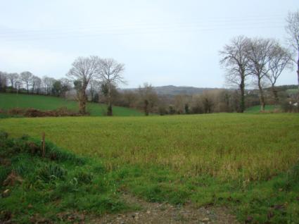 Image Sale house saint pever  1